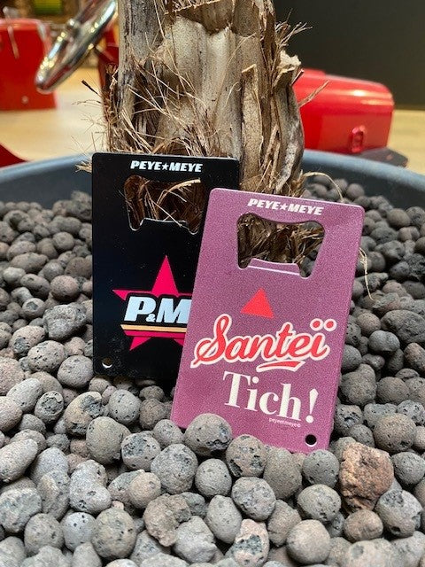 🎁 Décapsuleur et porte-clés en métal "Santeï Tich" (100% off)