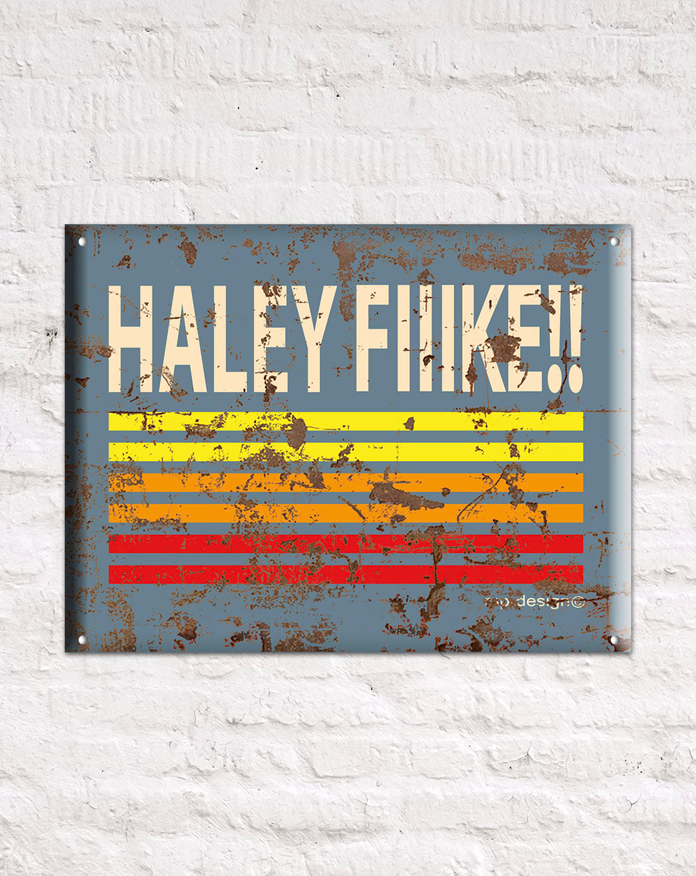 Plaque aluminium 30x40cm "Haley Fiiike"