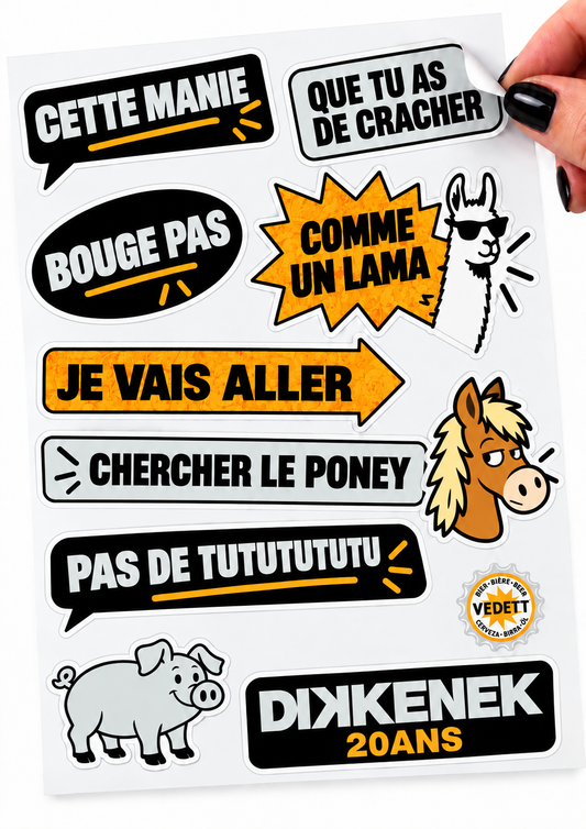Planche autocollants Dikkenek - Spécial 20 ans - PL6